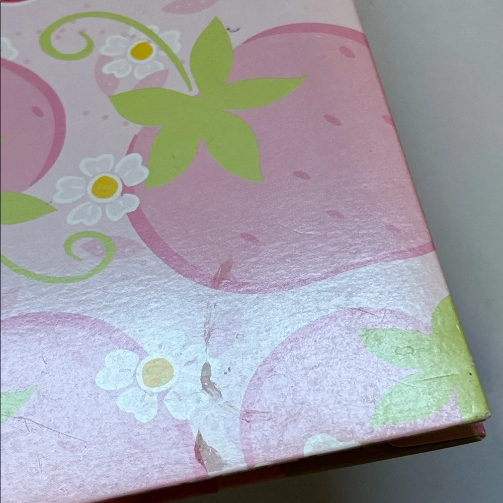 Strawberry Shortcake Folder 2003 Millennial Strawberry Shortcake School Folder